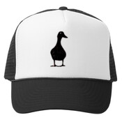 Pato